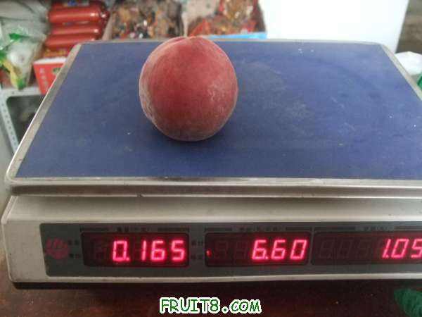 6��29 ����Ʒ�� 054.jpg
