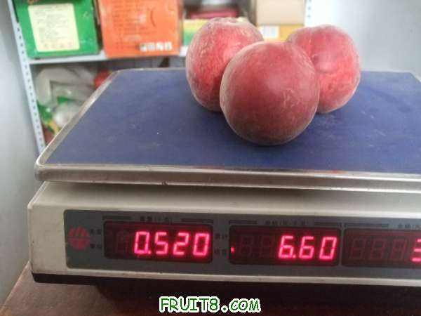 6��29 ����Ʒ�� 051.jpg