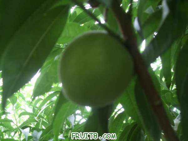 7��5����֮�� 005.jpg