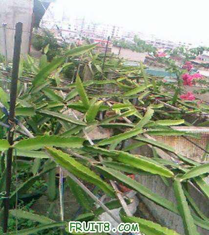 �����ȥ���ĵ��Ҽ����ڻ�����Ļ�����PP