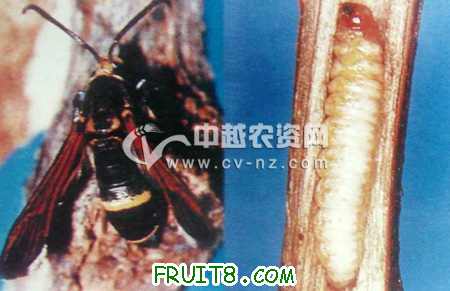 200902071020431845_y.jpg