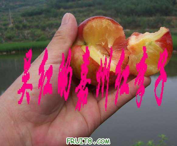 һᣬͿˣ˵ġ