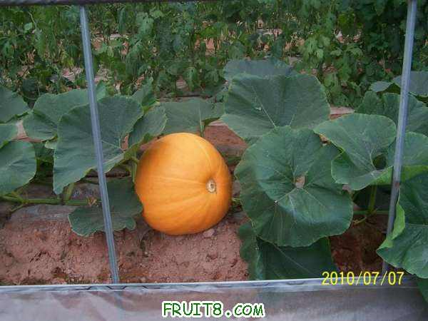nEO_IMG_100_0325.jpg