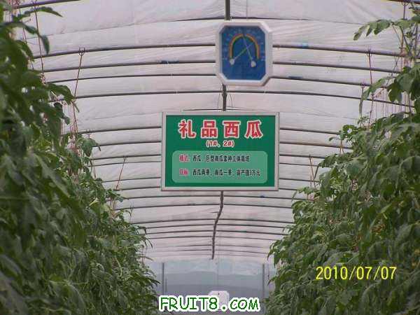 nEO_IMG_100_0322.jpg