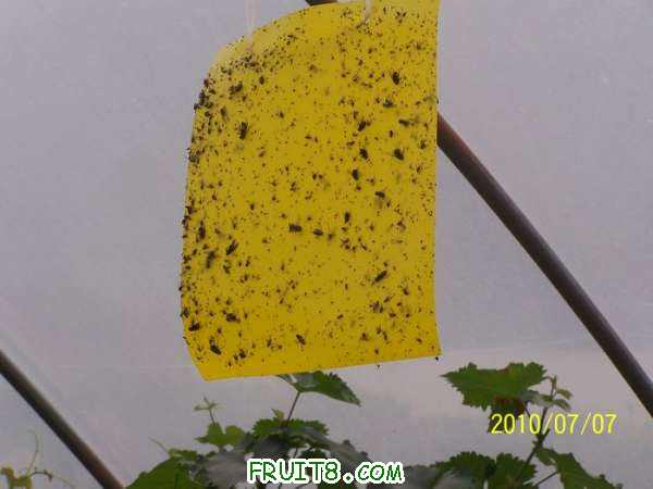 nEO_IMG_100_0339.jpg