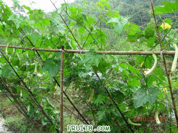 DSCN1527.JPG