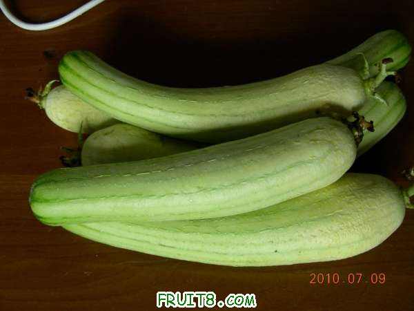 DSCN1536.JPG
