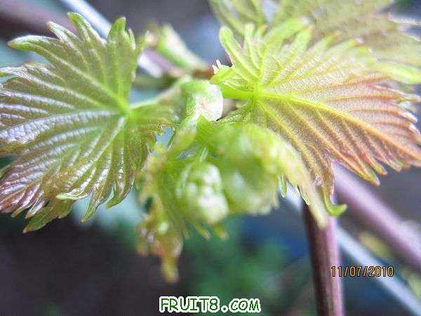 IMG_1719.JPG