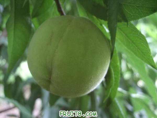 7��12����֮�� 004.jpg