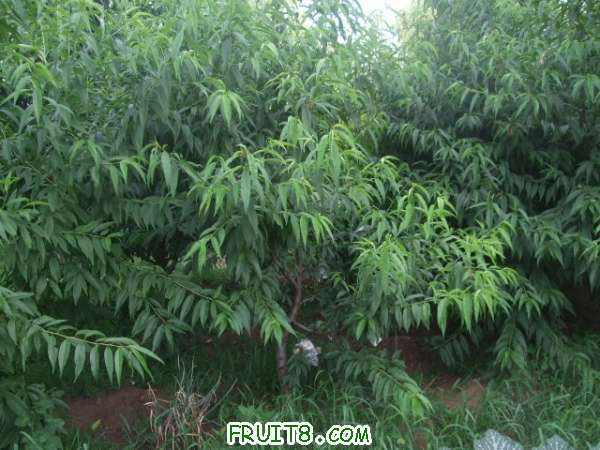 7��12����֮�� 009.jpg
