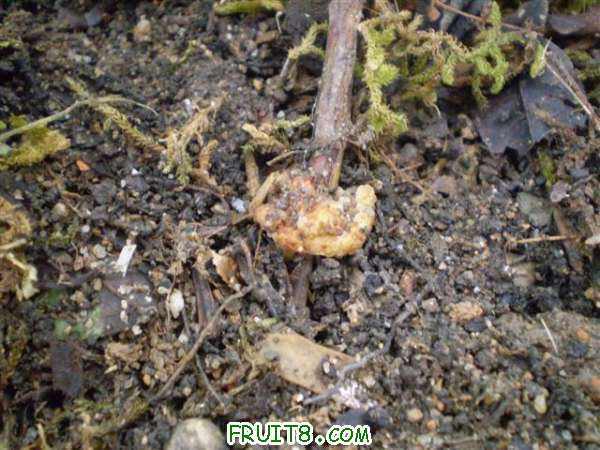 P7140002 (С��).JPG