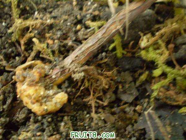 P7140003 (С��).JPG