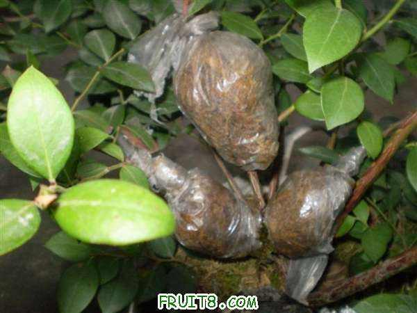 P7140015 (С��).JPG