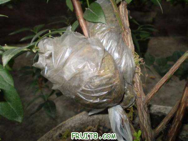 P7140014 (С��).JPG