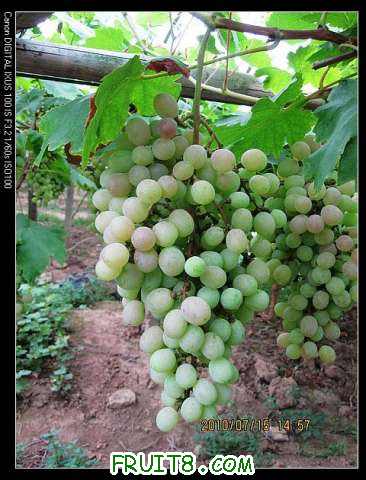 nEO_IMG_IMG_1671.jpg
