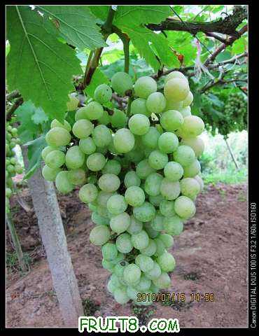 nEO_IMG_IMG_1670.jpg