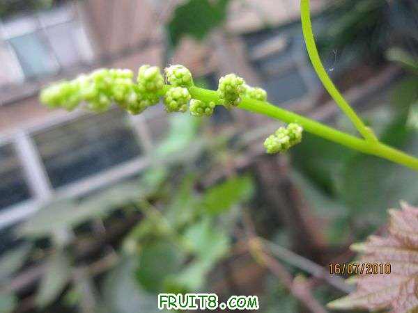 IMG_1767.JPG