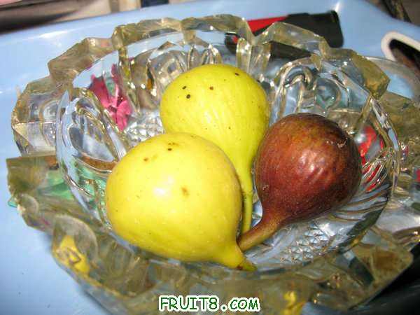 IMG_4783_.JPG