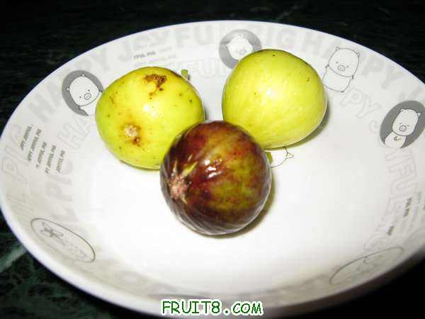IMG_4790_.JPG