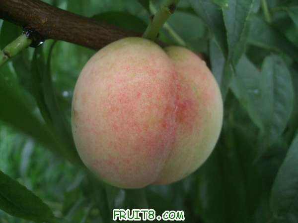 7��16����֮�� 003.jpg