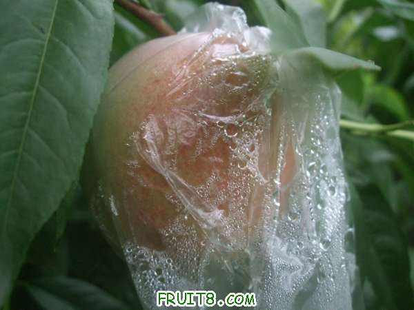 7��16����֮�� 002.jpg