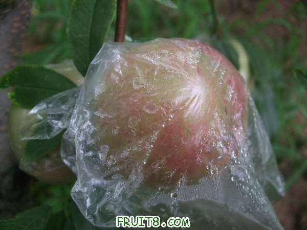 7��16����֮�� 001.jpg
