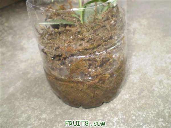 P7180002 (С��).JPG