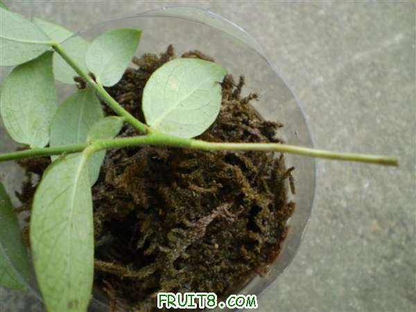 P7180001 (С��).JPG