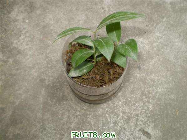 P7180003 (С��).JPG