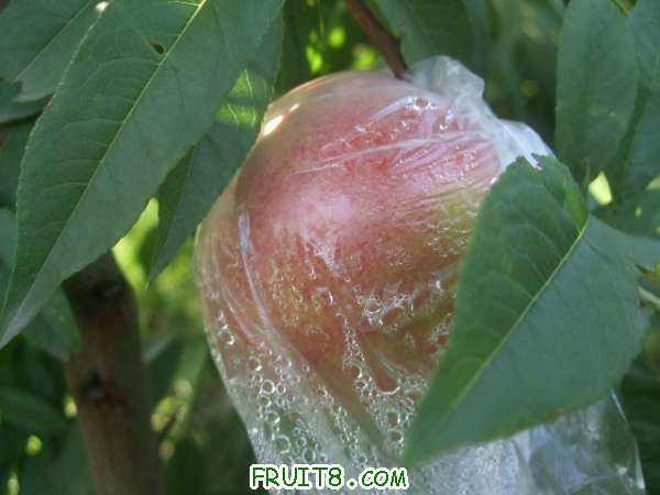 7��21����֮�� 001.jpg