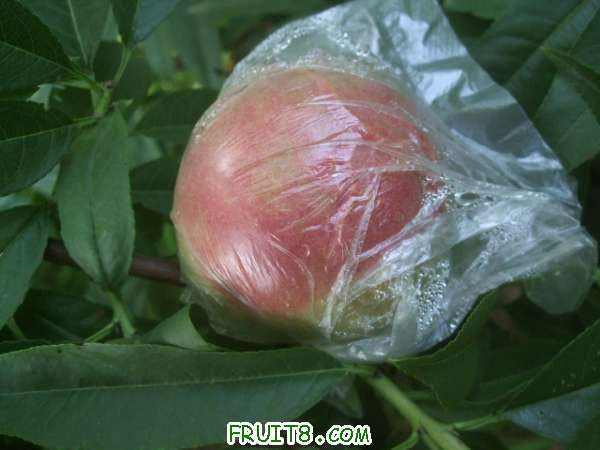 7��21����֮�� 002.jpg