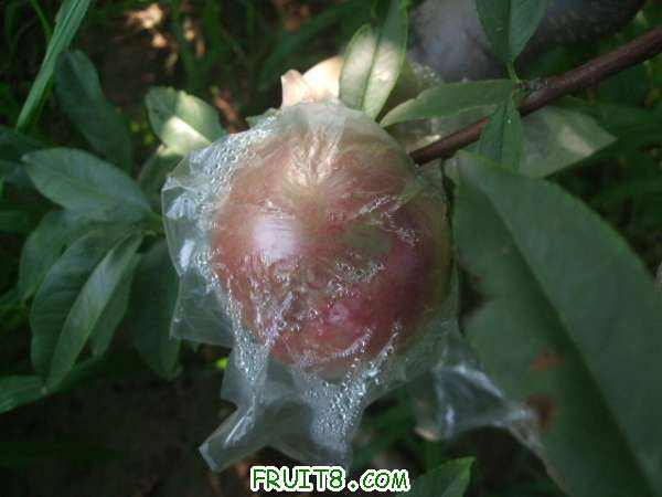 7��21����֮�� 003.jpg
