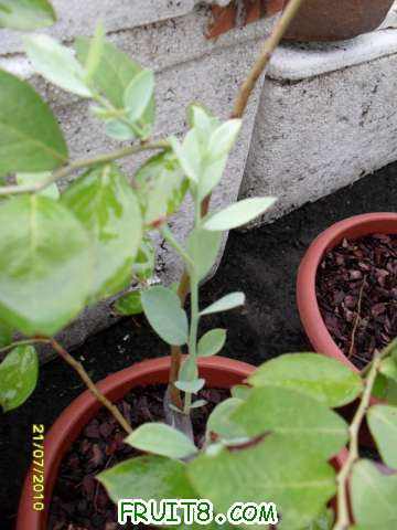 ����������PP�е�ѿ�ͺܺð�~~~��������ô���°���������