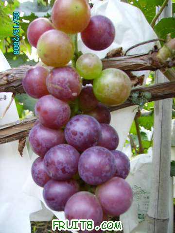 PICT0764.JPG