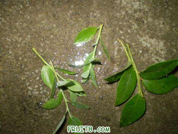 P1010013 (С��).JPG