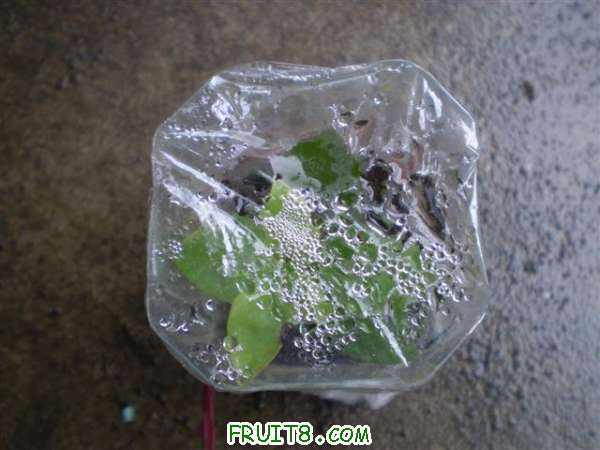 P1010001 (С��).JPG