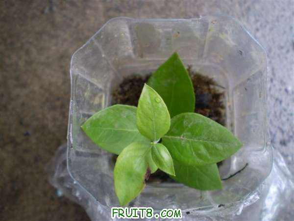 P1010002 (С��).JPG