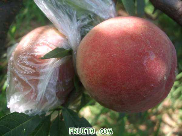 7��28����֮�� 004.jpg