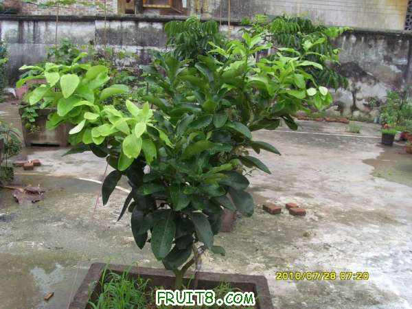 ������С SI857687.JPG