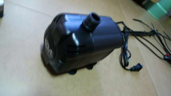 P1030258_С_1.jpg