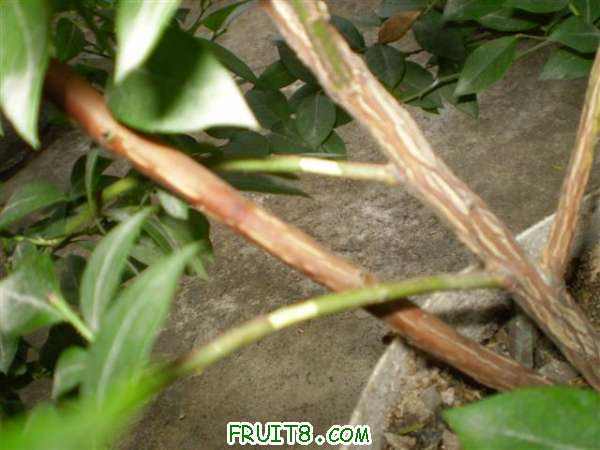 P7070001 (С��).JPG