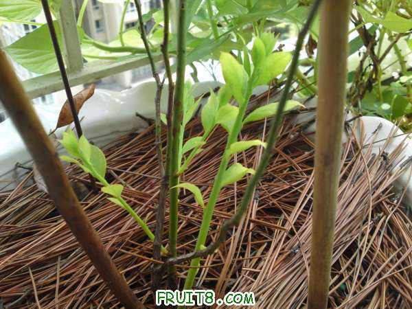 20100729����A����ѿ~~~