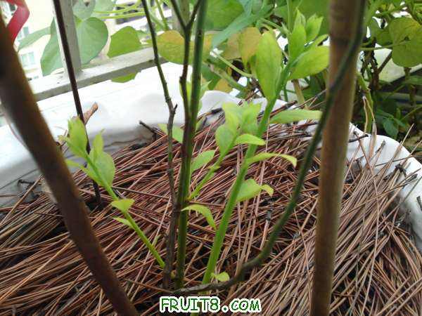 20100730����A����ѿ~~~