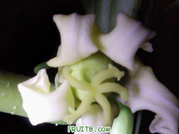 С Ƭ0148.jpg