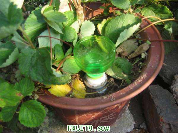 IMG_0165 (����).JPG