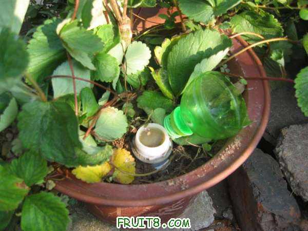 IMG_0164 (����).JPG
