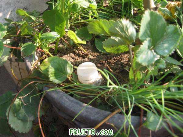 IMG_0163 (����).JPG