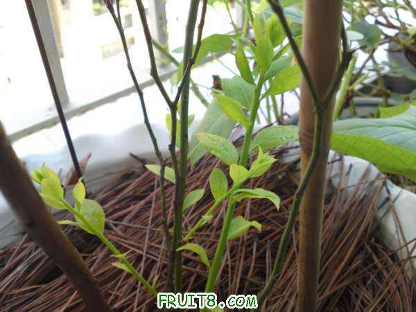 20100731402.jpg