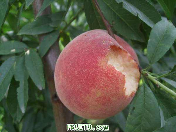 7��31����֮�� 002.jpg