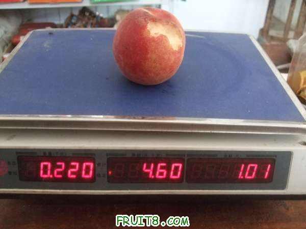 7��31����֮�� 006.jpg